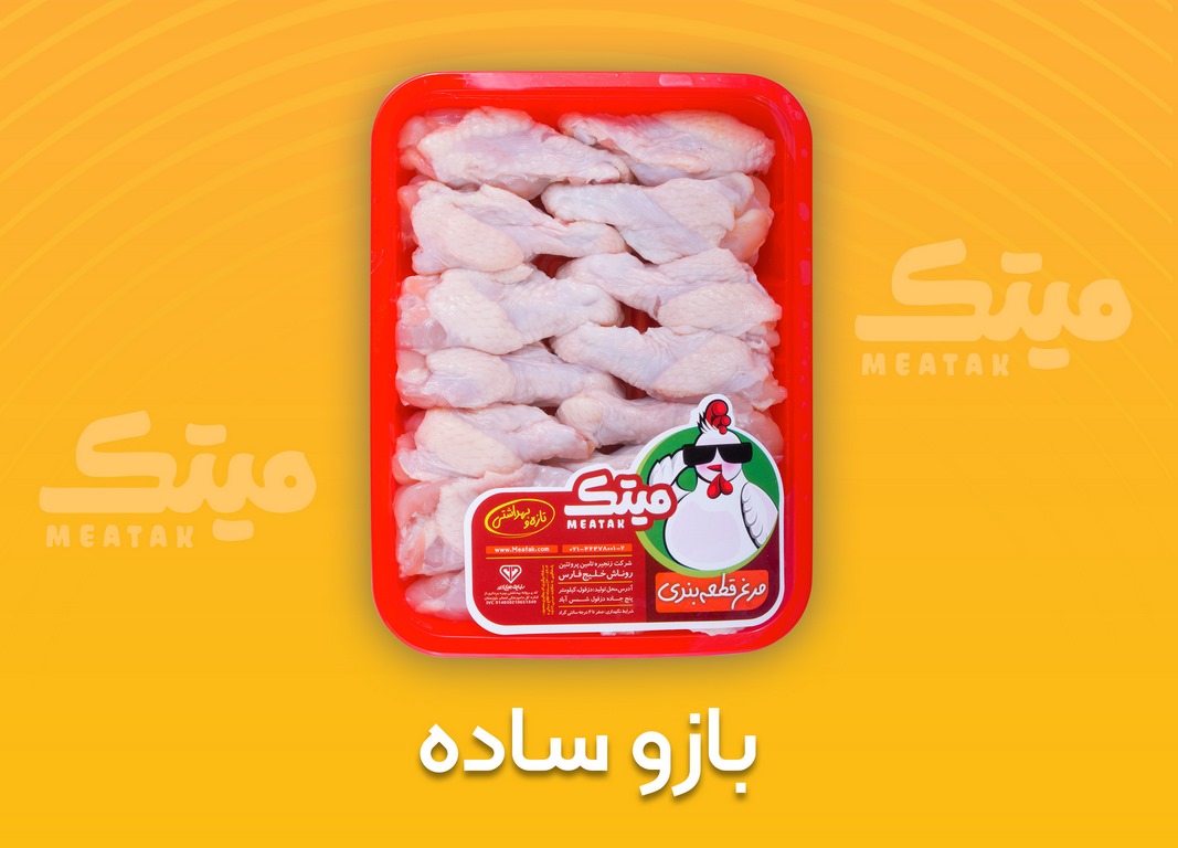 بازو ساده (Copy)