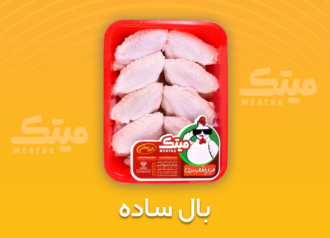 بال ساده (Copy)