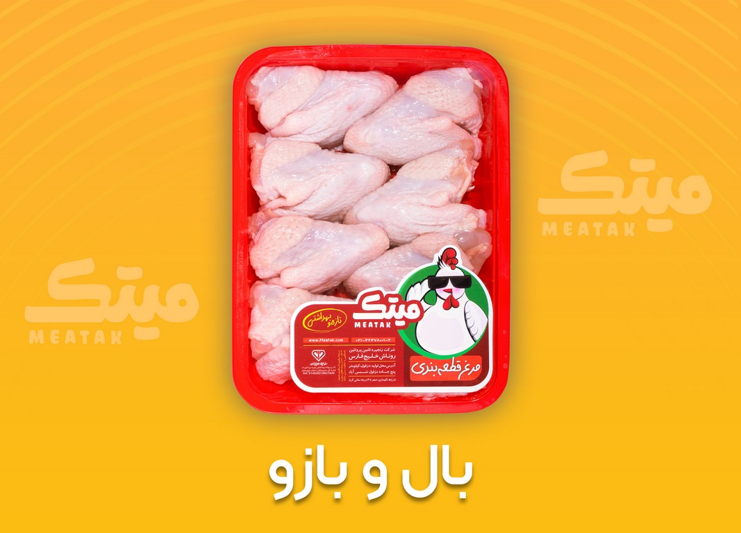 بال و بازو (Copy)