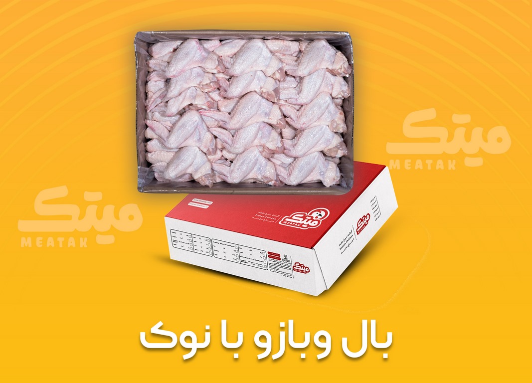 بال وبازو با نوک-جعبه ای (Copy)